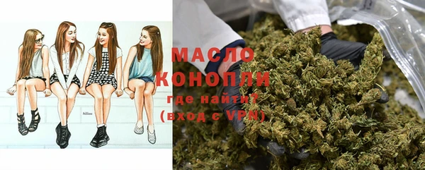дмт Алексин