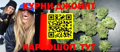 шишки Заводоуковск