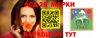 шишки Заводоуковск