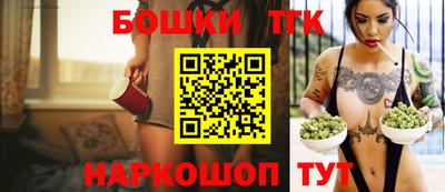 шишки Заводоуковск