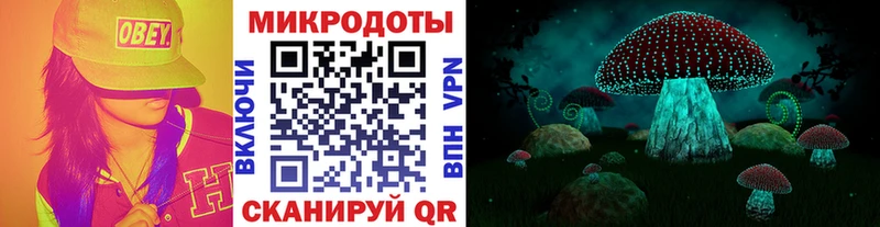Псилоцибиновые грибы MAGIC MUSHROOMS  Ленинск-Кузнецкий 