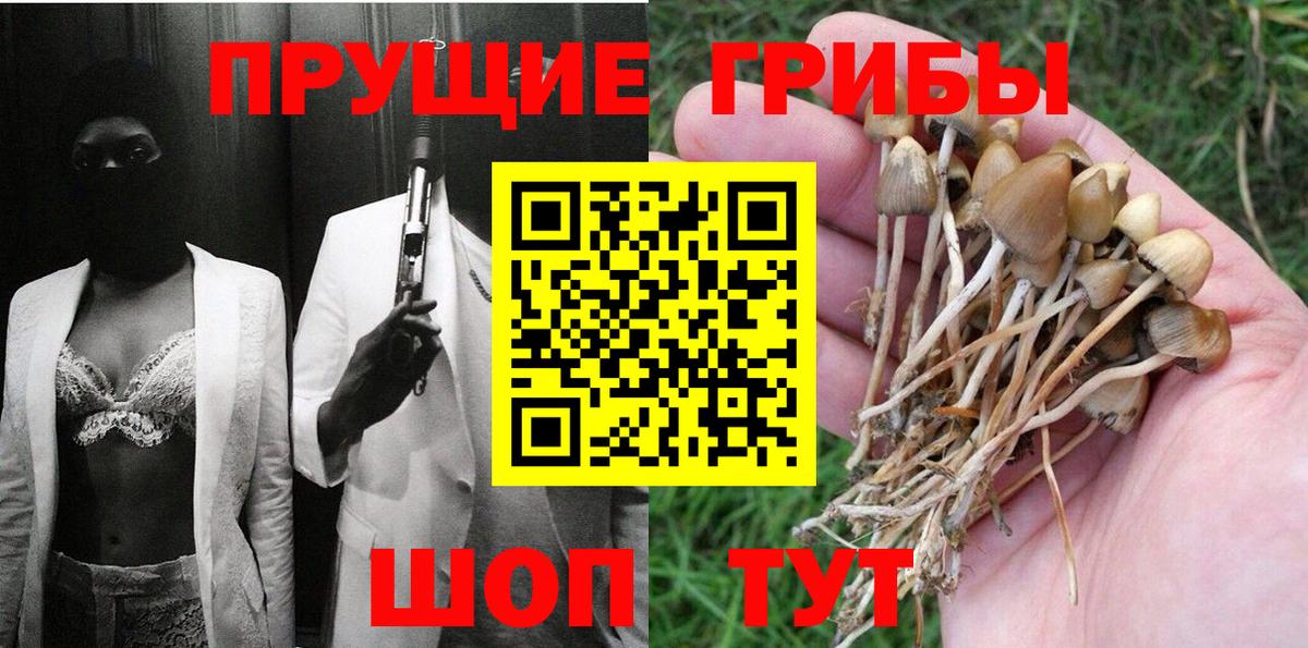 Ленинск-Кузнецкий  Галлюциногенные грибы Cubensis  Вход с VPN 